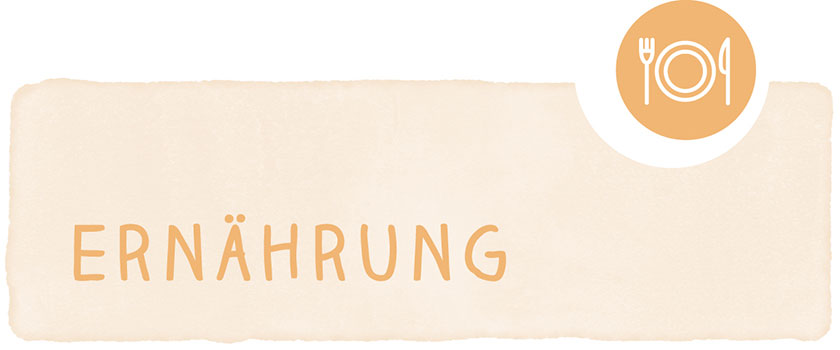 Ernährung